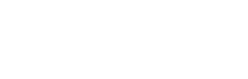 e Universidade no Brasil